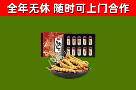 版纳市回收冬虫夏草价格